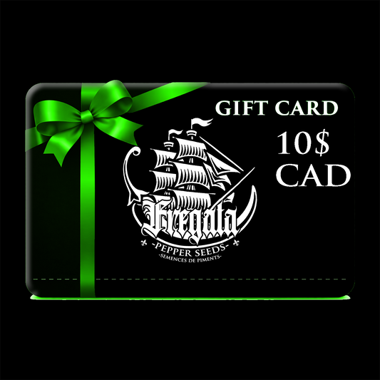 Carte-cadeau Fregata