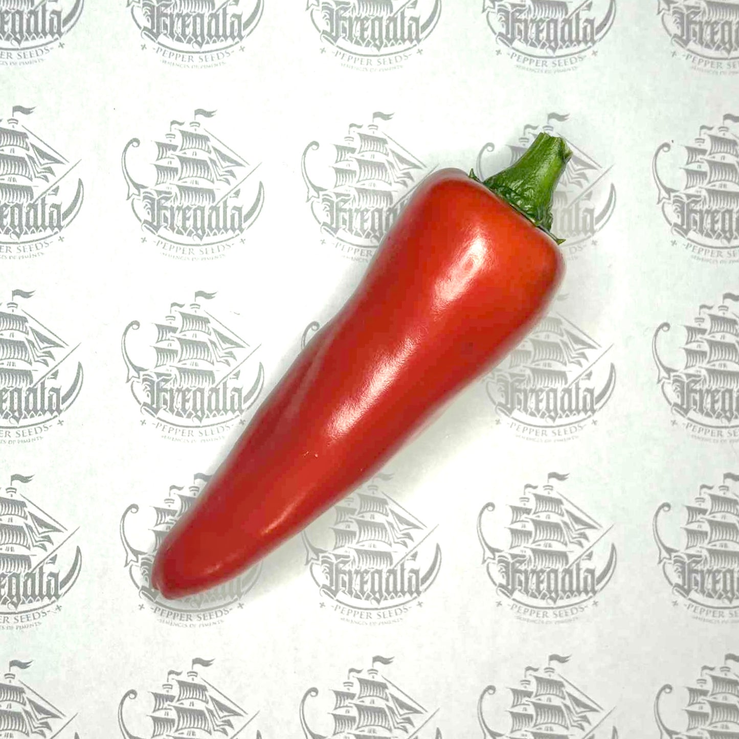 Gorria (piment d'Espelette)
