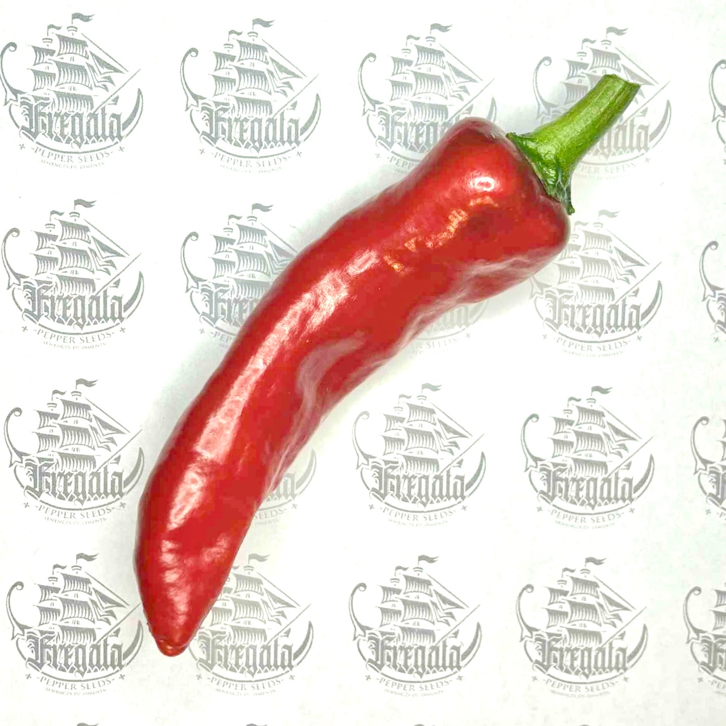 Gorria (piment d'Espelette)