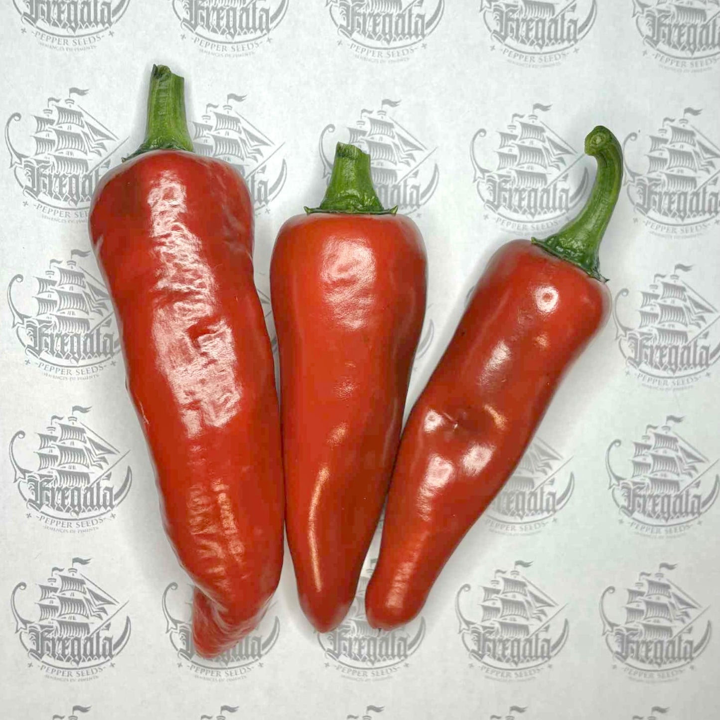 Gorria (piment d'Espelette)
